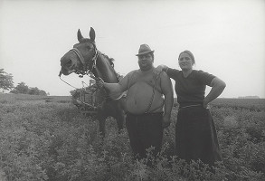 Tibor Huszár – Cigáni IX. 