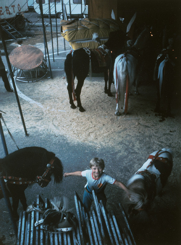 Karol Benický – Koníky z Humberta 