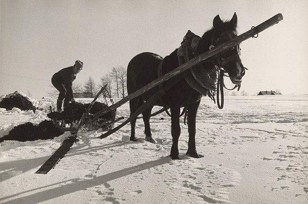Pavol Breier – Zimný deň III. 