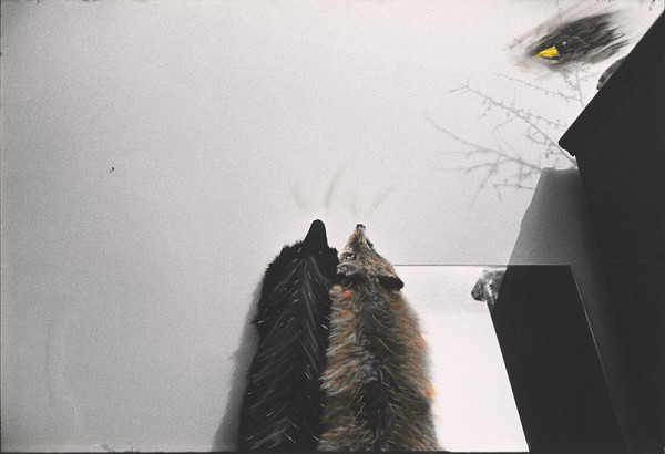 Peter Župník – Bájka 