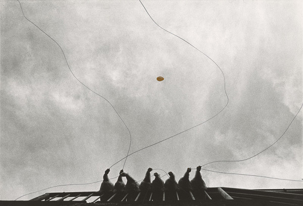 Peter Župník – Reč vtákov 