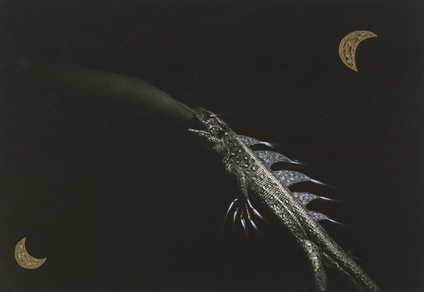 Peter Župník – Ty moja krásna malá jašterička 