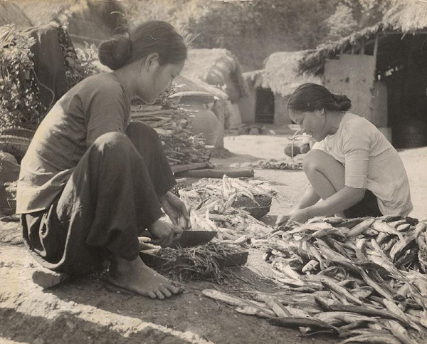 Ján Cifra – Vietnam. Rybolov sa vydaril