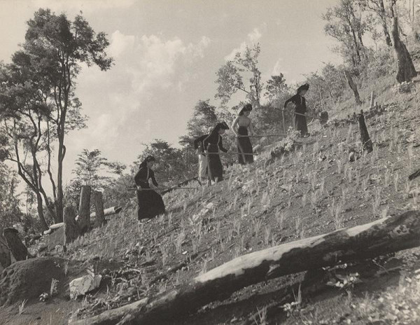 Ján Cifra – Vietnam. Severný Vietnam 