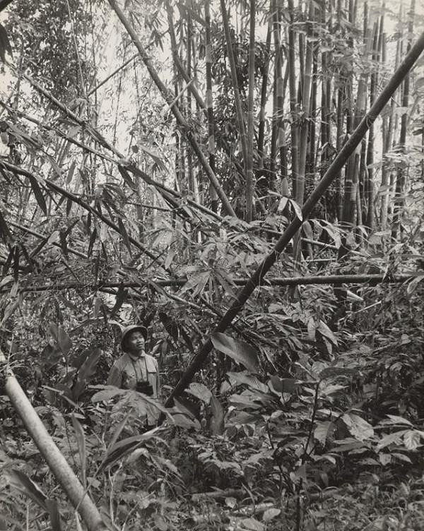 Ján Cifra – Vietnam. V pralese 