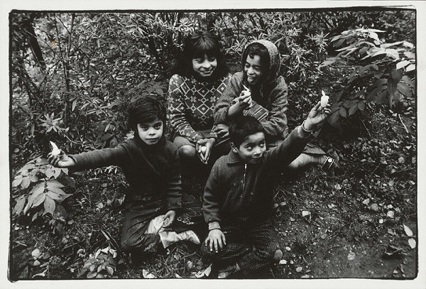 Jozef Lietavec – Bez názvu 