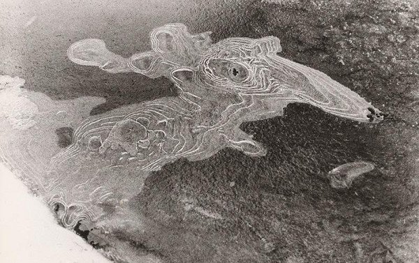 Andrej Barla – Veterná príšera 