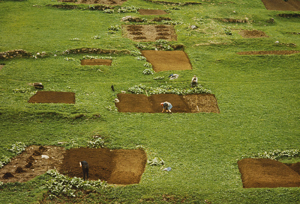 Karel Skřipský – Bosco Gurin 