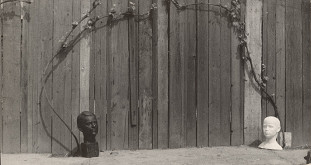 Elo Havetta – Bez názvu 