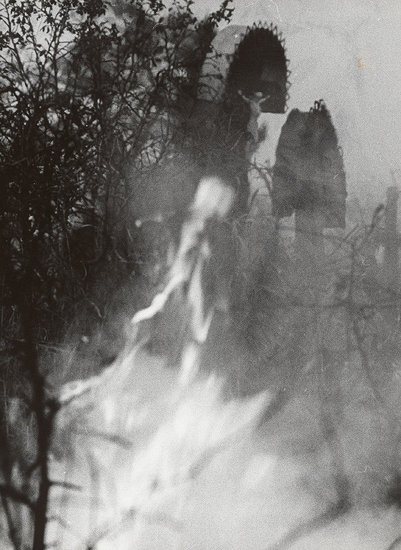 Ľuba Lauffová – Bez názvu 