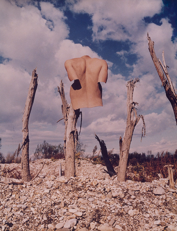 Ľuba Lauffová – Bez názvu 