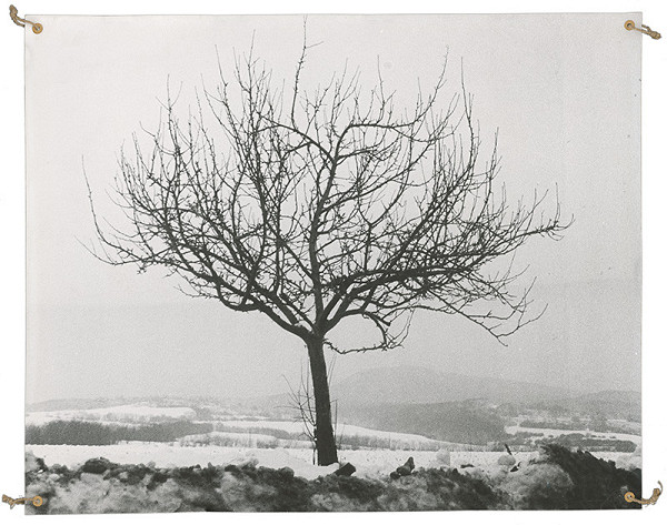 Dezider Tóth – Iluminácia 