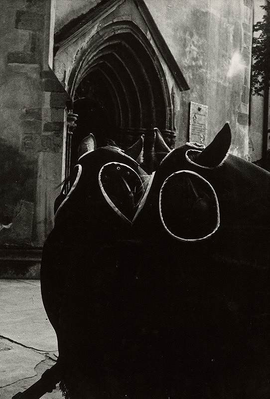 Tibor Honty – Z ciest za gotickou plastikou na Slovensku. Pohrebné kone  