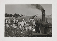 Stanislav Pekár – Záhorácke slávnosti III. 