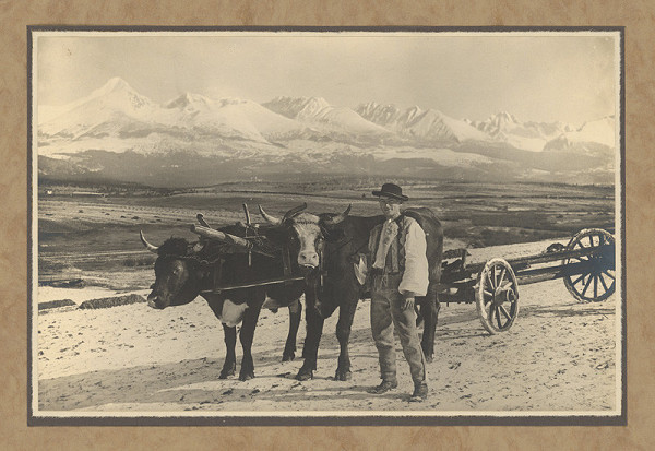 Karel Plicka – Vysoké Tatry z jihu 