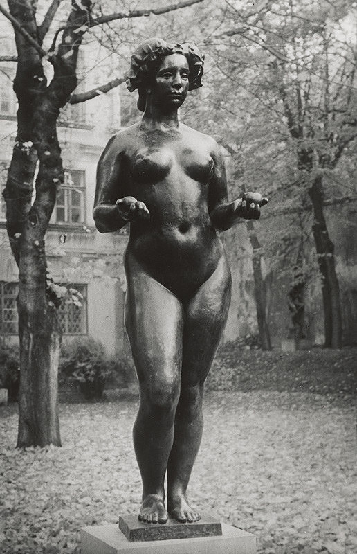 Tibor Honty – Aristide Maillol: Pomona 