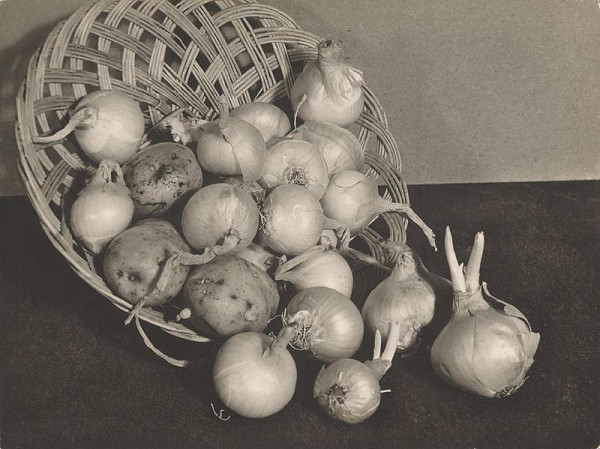 Ladislav Farkaš – Cibuľa 