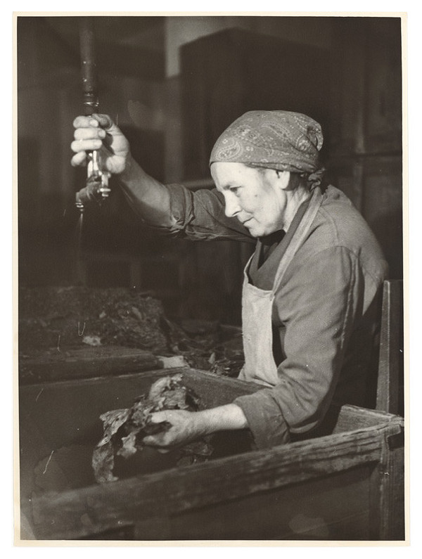 Sergej Protopopov – Práca v tabačiarni 1.