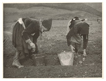 Sergej Protopopov – Chudobná úroda 