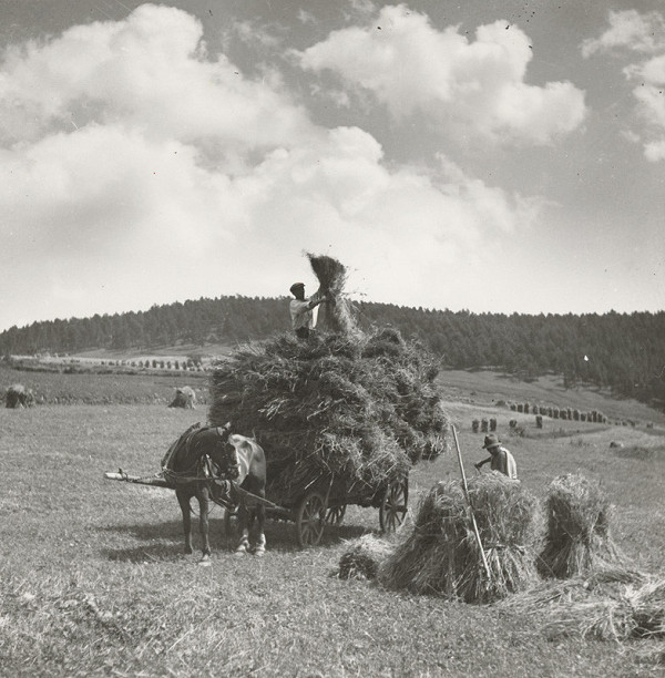 Štefan Chmulík – Zvážanie 