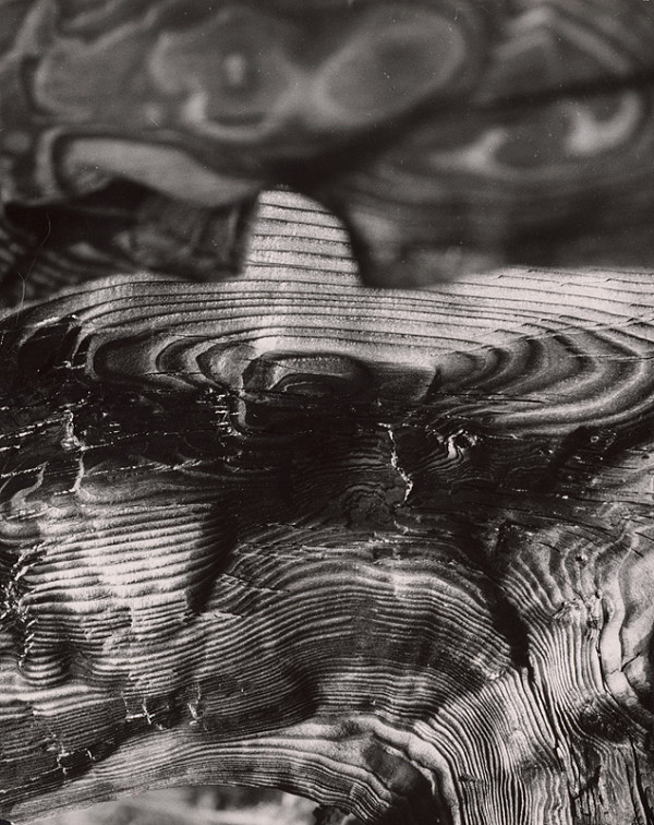 Martin Martinček – Nezbadaný svet. Tancujúca Mexičanka 