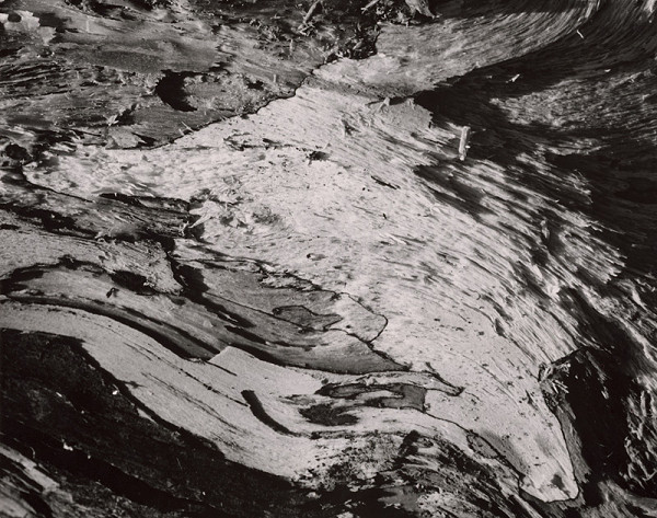 Martin Martinček – Nezbadaný svet. Predjarie 