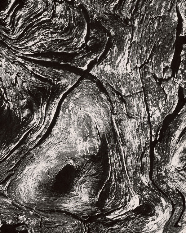 Martin Martinček – Nezbadaný svet. Hruška 