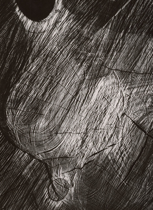 Martin Martinček – Nezbadaný svet. Grafický list 