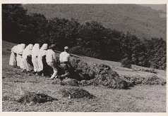 Karol Aufricht – Fačkov. Na senách 