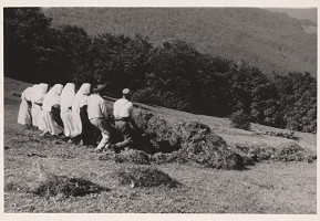 Karol Aufricht – Fačkov. Na senách 