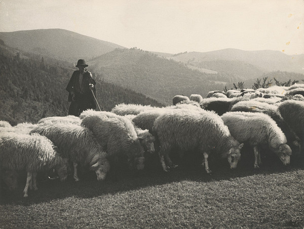 Ladislav Roller – Jar na horách 