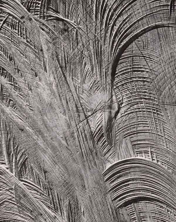 Martin Martinček – Nezbadaný svet. Žatva 