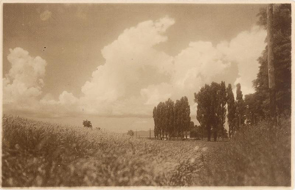 Miloš Jurkovič – Pred žatvou. Cífer 