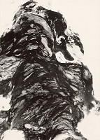 Martin Martinček – Fantázia prírody. Rozhnevaná vrana 