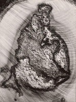 Martin Martinček – Fantázia prírody. Ľudová madona 