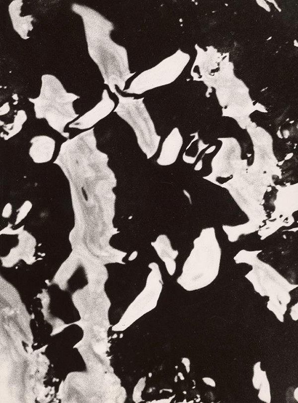 Martin Martinček – Fantázia prírody. Jar 