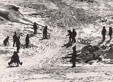 Martin Martinček – V zime na záhumní 