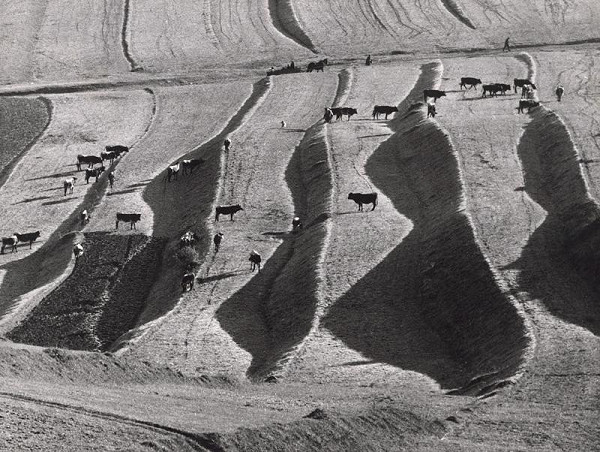 Martin Martinček – Po žatve I. 