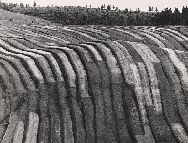 Martin Martinček – Liptovské variácie II. 