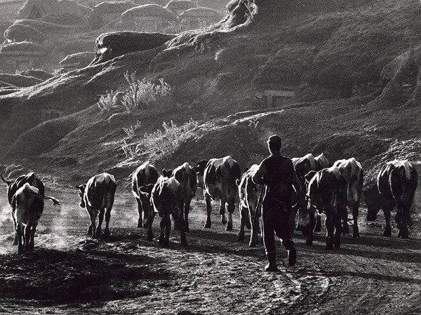 Martin Martinček – Na pašu 