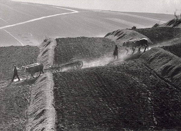 Martin Martinček – Suchá jar 