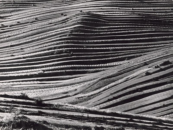 Martin Martinček – Žatva I. 