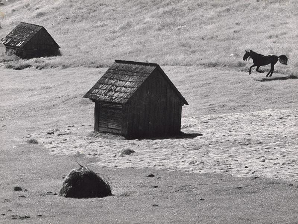 Martin Martinček – Útek z holí 