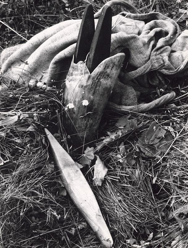 Martin Martinček – Zátišie z hôľ 