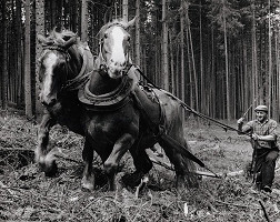 Martin Martinček – Na Čiernom Váhu III. 