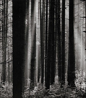 Martin Martinček – Na Čiernom Váhu IV. 