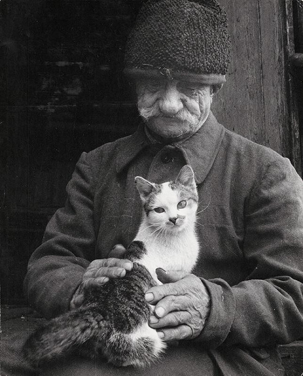 Martin Martinček – Mačka Martina Dutku I. 