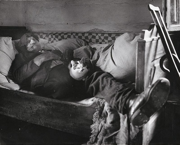 Martin Martinček – Mačka Martina Dutku VI. 