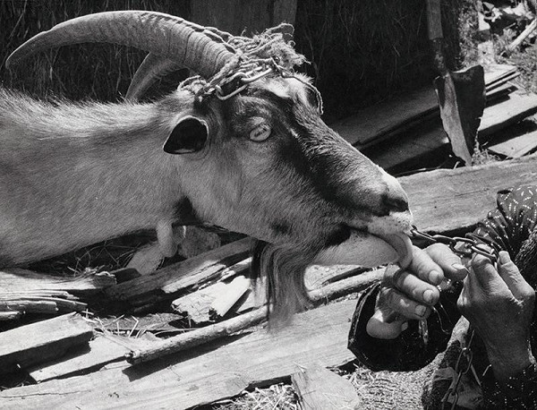 Martin Martinček – Veronika Radlik VI. 