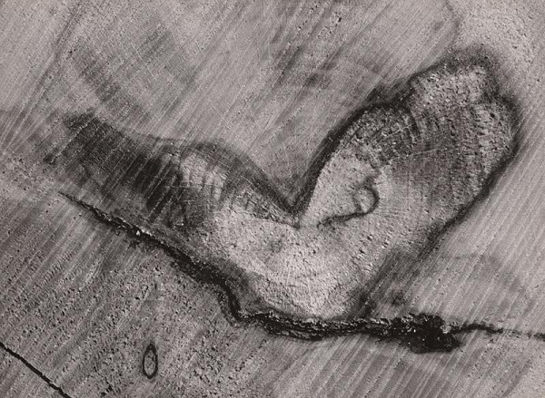 Martin Martinček – Motýľ II. 